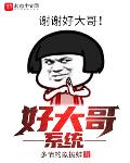 好大哥系统