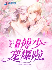 重生之傅少宠爆啦