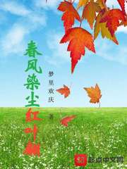 都市逆天邪医陆明叶青鸾