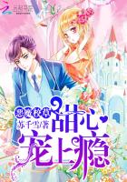 这个明星很想退休简介