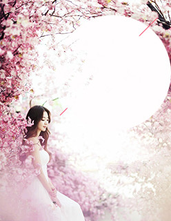 公子别秀最新章节