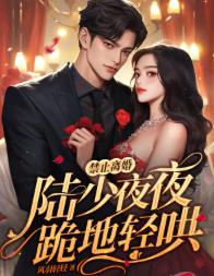 夫人失踪两年陆总突然醒悟乔熏陆泽