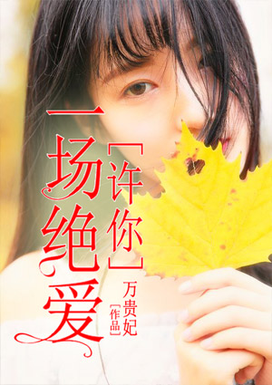 夜的第一章简介