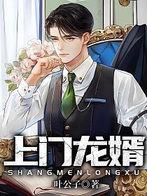 上门龙婿txt下载